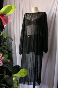 Zara Sheer Black Dress Without Belt