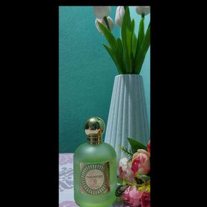 Paris Corner- Pear Potion (Emir)