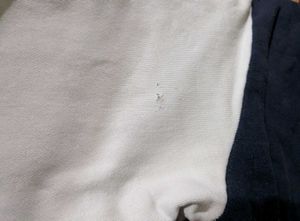 Original Lacoste Varsity Jacket🐊