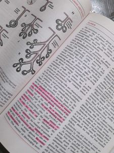 Textbook Of Human Histology + Color Atlas !!🌟