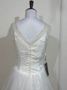 Elegant Lace Dress