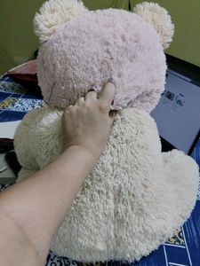Huge teddy bear