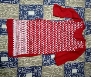 Elegant Embroidered Kurta Pant Coord Set