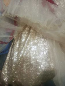 Very Beautiful Fish Cut Gawn