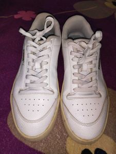 Offer Last Day &#34;1000&#34; Puma White Orignal Snekar