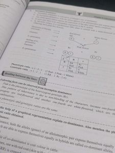 12th Std BIOLOGY Precise Vol 1