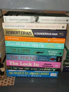 Assorted Fiction Books Bundle