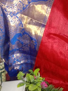 Red &amp; Blue Embroidered Dress