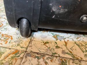 VIP Trolley for Sale