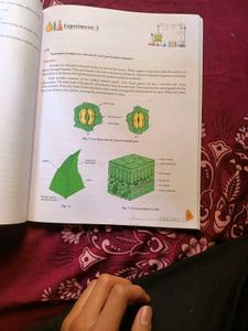 Class 10th Science Lab Manual Cbse