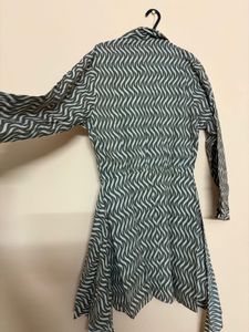 Zara Zebra Print Shirt-Dress