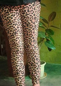 Zara Leopard Print  Pants