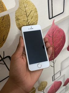 iPhone SE 1st Generation Model Gold Display Replacement Needed