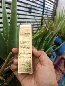Lakme Perfect Radiance Day Cream