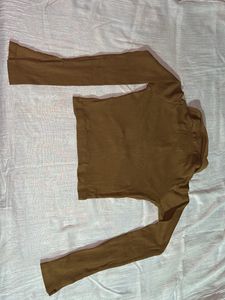 Baesic brown Polo Crop Top