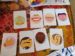 Kids Body Parts Cards And Magnetic Alphabets