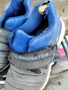 Nike Terminator Sneakers