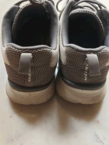 Skechers Shoes