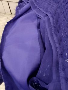 Vintage New Shinning Saree