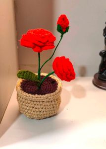 Flower Pot 🪴 Crochet 🧶
