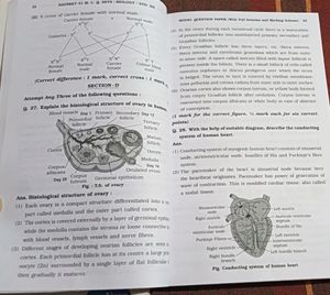Biology Question Answer Set New Edition