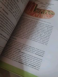 Cbse Biology Class 11 ncert