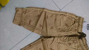 Animal Print Cropped Pants