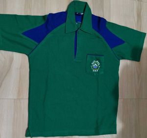 Green & Blue Polo Shirt