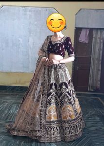 Elegant Bridal Lehenga Choli Set