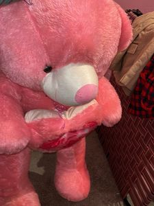 Teddy Bear Pink Soft Furry