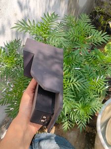 Dynapar Phlebotroy QPS Desk Organizer