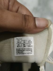 Tiger Branded Shoes For Kids