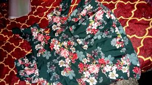 Plazo Kruti Set