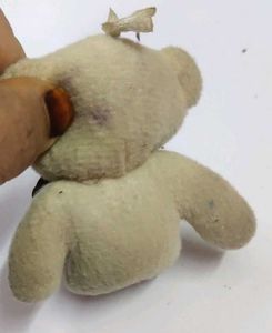 Cute Beige Teddy Bear small Plush
