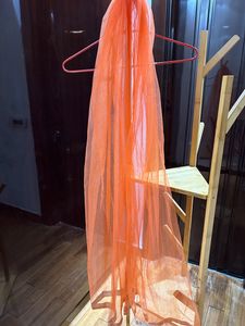Coral Net Dupatta