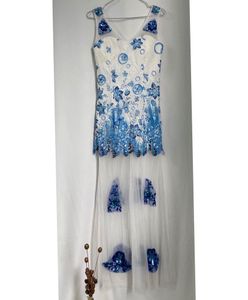 Frozen Maxi Embroided Dress