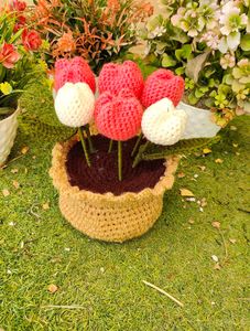 6 Tulip With Pot And Leafs