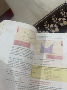 Introductory Microeconomics - Class XI