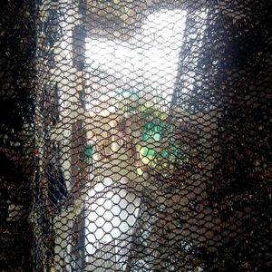 Elegant Scarf with Fringe