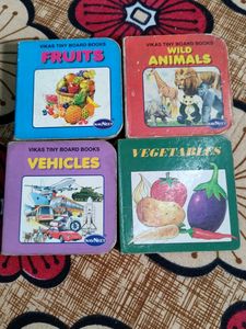 Mini Boards Books