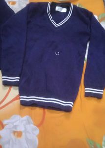 Blue Sweaters - 2 Pack