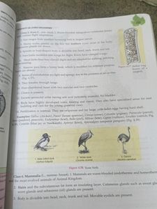 Class 9 Biology Reffreser