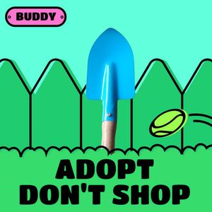 Buddy the Backyard Hero Pack Of 3