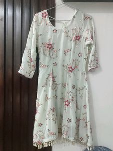 Embroidered Light Green Dress