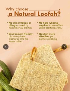 Natural Loofah Sponges (1 Pack)