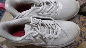 White Sneakers