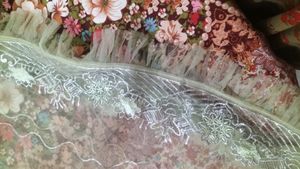 Beautiful Pakistani Suit With Net Frill Dupatta