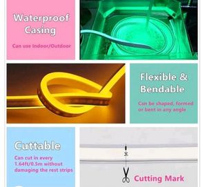 Neon Led Orange Colour 1mtr
