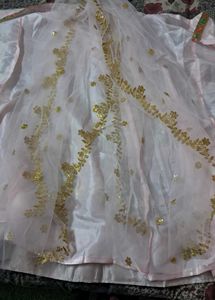 Embroidered Lehenga Choli