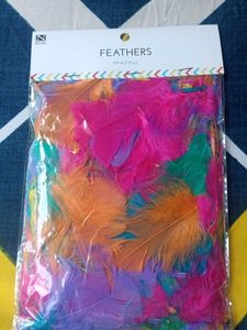 Decorative Feather